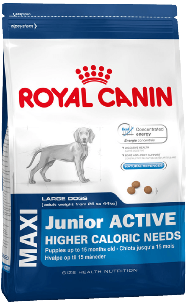 Royal Canin Maxi Junior Active